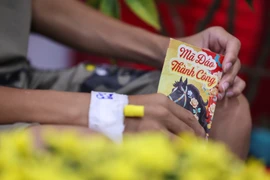 Những “màu đỏ không Tết” do sốt xuất huyết Dengue và cuộc chiến giành lại mùa Xuân