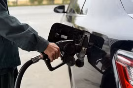 Phát hiện bất thường về hóa đơn tại các doanh nghiệp xăng dầu, Cục Thuế hỏa tốc yêu cầu kiểm tra