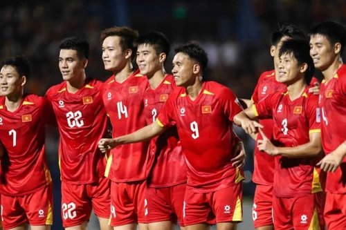 Vì sao tuyển Việt Nam bỏ giao hữu quốc tế tháng 6-2026?