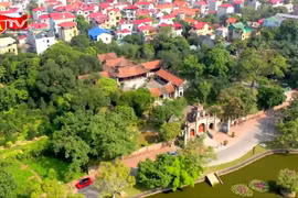 Phát huy giá trị di sản, nâng tầm vị thế Việt Nam