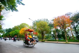 Hà Nội thơ mộng trong mùa cây thay lá