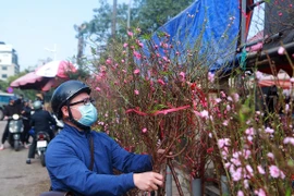 Chợ hoa Hà Nội rộn sắc xuân