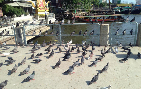 Bangkok, hình ảnh ngày đầu tiên sau cuộc đảo chính ảnh 12 Bangkok, hình ảnh ngày đầu tiên sau cuộc đảo chính ảnh 12