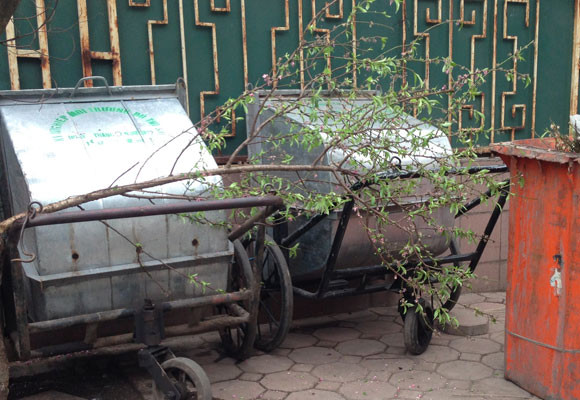 Xe chở rác ngập ngụa...hoa đào ảnh 12