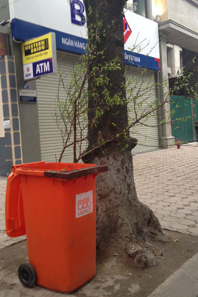 Xe chở rác ngập ngụa...hoa đào ảnh 5