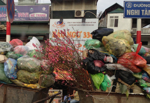 Xe chở rác ngập ngụa...hoa đào ảnh 7