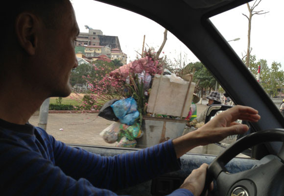 Xe chở rác ngập ngụa...hoa đào ảnh 4