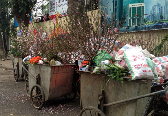 Xe chở rác ngập ngụa...hoa đào ảnh 8
