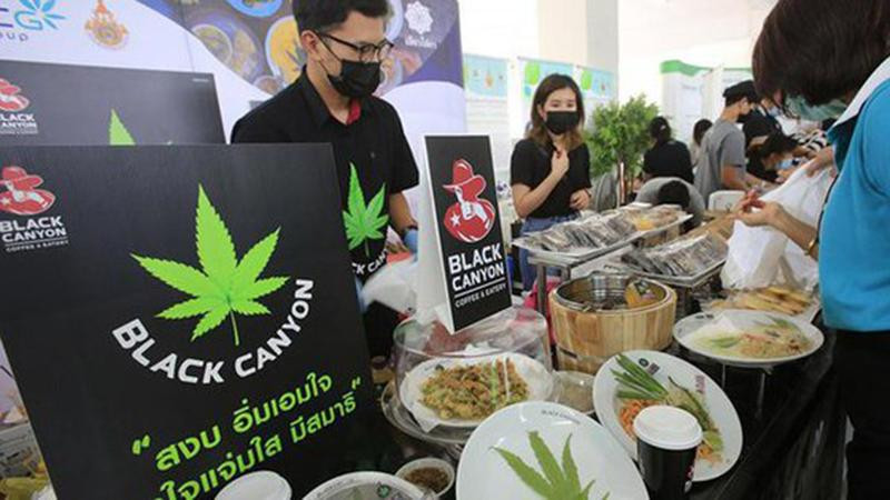 Thái Lan điều chỉnh quy định về việc mua bán cần sa (Ảnh: Bangkok Post) Thái Lan điều chỉnh quy định về việc mua bán cần sa (Ảnh: Bangkok Post)