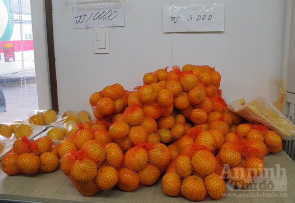 Ngỡ ngàng lạc vào vườn quýt “khủng” ảnh 15