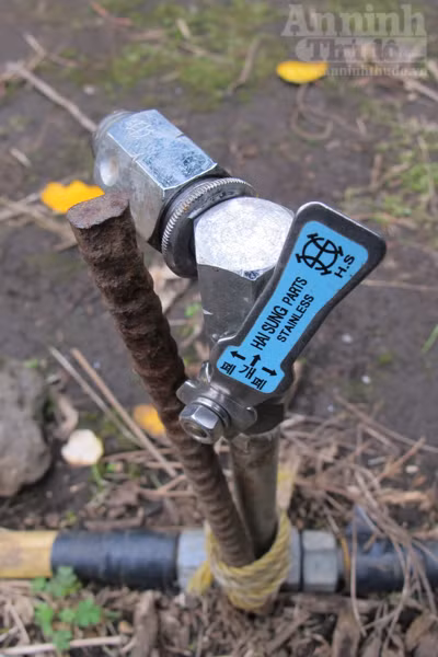 Ngỡ ngàng lạc vào vườn quýt “khủng” ảnh 9