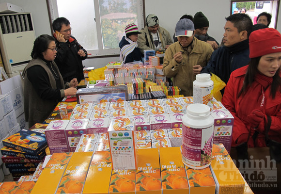 Ngỡ ngàng lạc vào vườn quýt “khủng” ảnh 14