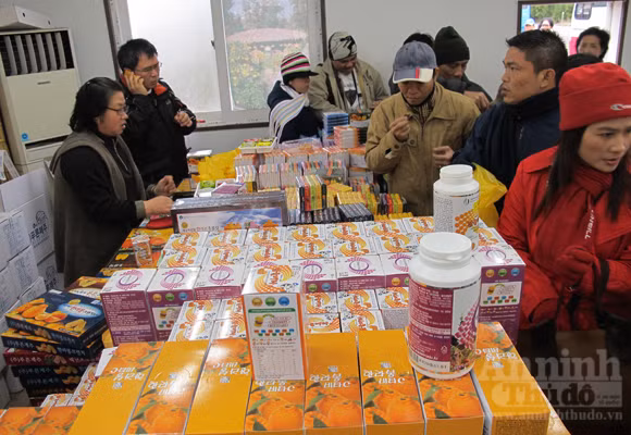 Ngỡ ngàng lạc vào vườn quýt “khủng” ảnh 14