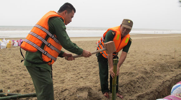 Đào hào, đóng cọc tre làm điểm tựa vững chắc cho các bao cát, đề phòng sóng đánh trôi