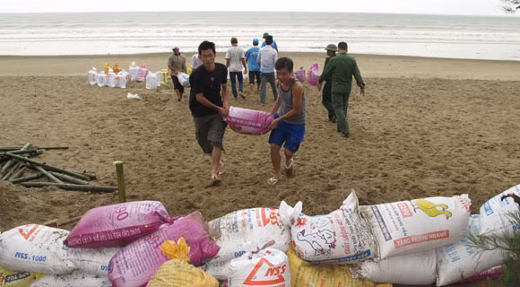 Dựng hàng rào chắn sóng Dựng hàng rào chắn sóng