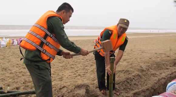 Đào hào, đóng cọc tre làm điểm tựa vững chắc cho các bao cát, đề phòng sóng đánh trôi