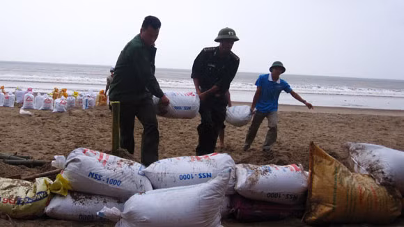 Dựng hàng rào chắn sóng Dựng hàng rào chắn sóng