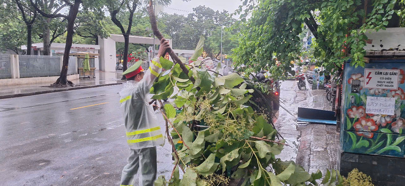 Cảnh sát trật tự CAP Ba Đình xử lý cây gãy đổ