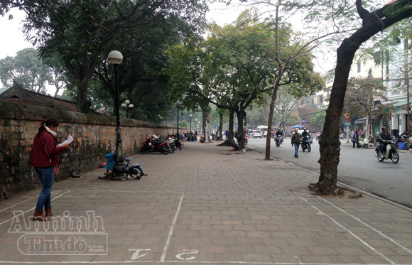 "Phố" biến thành "vườn", ông Đồ vắng bóng ảnh 2