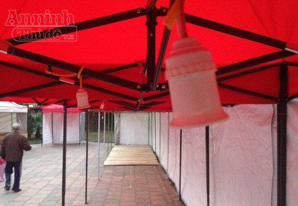 "Phố" biến thành "vườn", ông Đồ vắng bóng ảnh 7