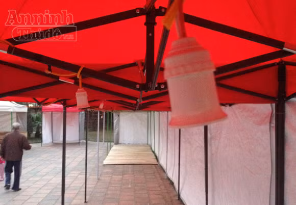 "Phố" biến thành "vườn", ông Đồ vắng bóng ảnh 7