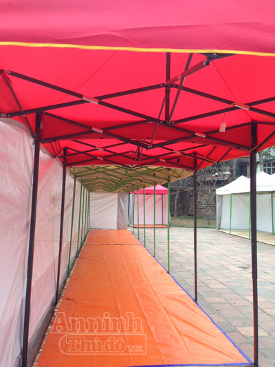 "Phố" biến thành "vườn", ông Đồ vắng bóng ảnh 5