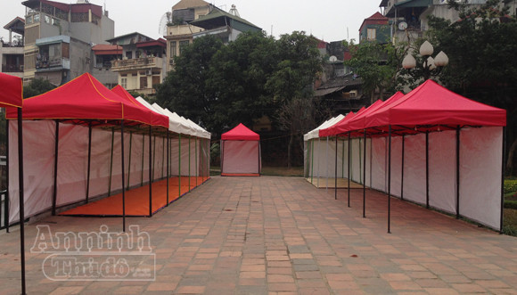 "Phố" biến thành "vườn", ông Đồ vắng bóng ảnh 1