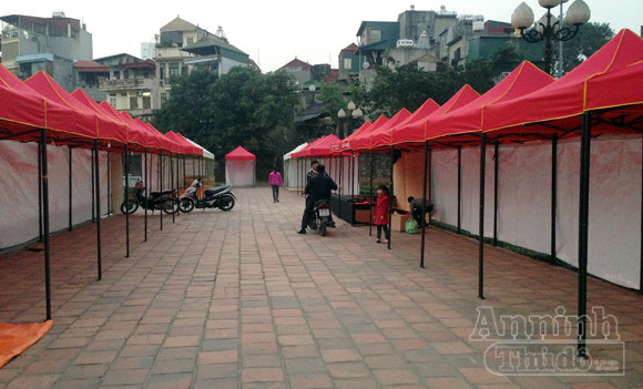 "Phố" biến thành "vườn", ông Đồ vắng bóng ảnh 4