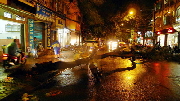 Cây đổ chắn ngang đường trước số 76 phố Tuệ Tĩnh