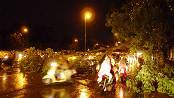 Số lượng cây đổ trên địa bàn TP.Hà Nội trong đêm 29 rạng sáng 30/6 là khá nhiều