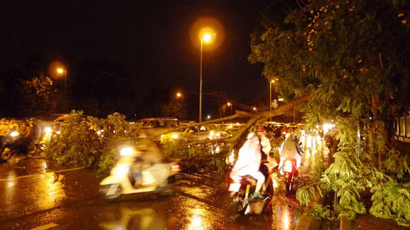 Số lượng cây đổ trên địa bàn TP.Hà Nội trong đêm 29 rạng sáng 30/6 là khá nhiều