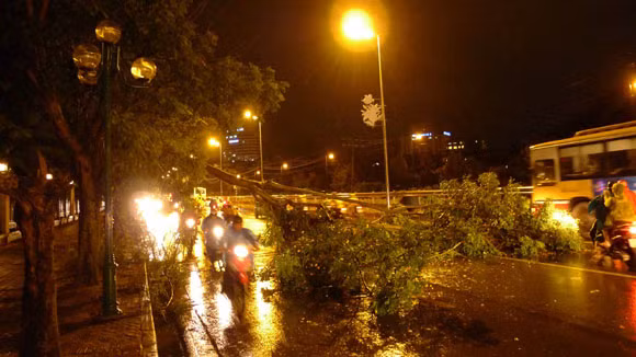 Mưa to gió lớn, Hà Nội đổ - gãy cả trăm cây đại thụ ảnh 1 Mưa to gió lớn, Hà Nội đổ - gãy cả trăm cây đại thụ ảnh 1
