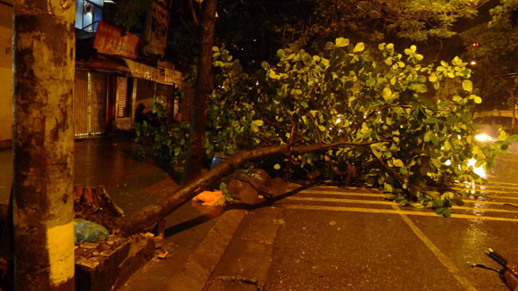 Mưa to gió lớn, Hà Nội đổ - gãy cả trăm cây đại thụ ảnh 2