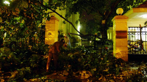 Một cây khác đổ trước số 54 Hai Bà Trưng