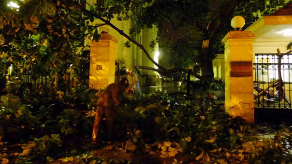 Một cây khác đổ trước số 54 Hai Bà Trưng Một cây khác đổ trước số 54 Hai Bà Trưng