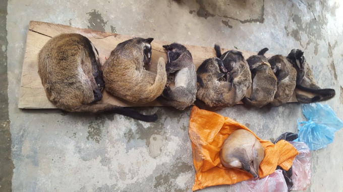 Số chồn và hoẵng mà Dũng đã mua Số chồn và hoẵng mà Dũng đã mua