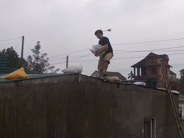 Đã có 10 người thiệt mạng do siêu bão Hải Yến ảnh 1