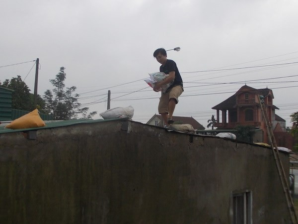 Đã có 10 người thiệt mạng do siêu bão Hải Yến ảnh 1