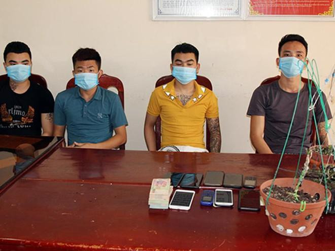 Nhóm đối tượng và tang vật trong một vụ lừa đảo chiếm đoạt tài sản dưới hình thức mua bán "lan đột biến”