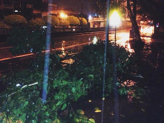 Tâm bão Kalmaegi đổ bộ vào Móng Cái- Quảng Ninh ảnh 5