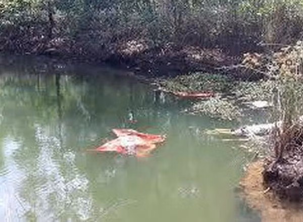 Ngã xe máy xuống ao, hai mẹ con tử vong (ảnh minh họa)