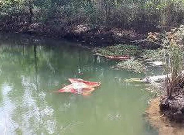 Ngã xe máy xuống ao, hai mẹ con tử vong (ảnh minh họa)