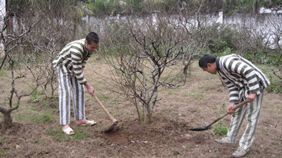  Ma túy phá nát gia đình ảnh 1