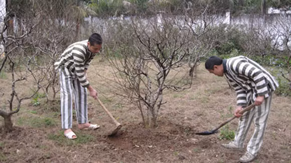  Ma túy phá nát gia đình ảnh 1