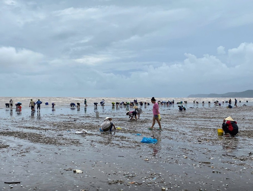 Hàng trăm người dân kéo nhau đến bờ biển nhặt "lộc trời" sau bão số 4