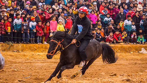 Mãn nhãn xem ngựa đua Bắc Hà sải vó tại Thủ đô ảnh 9