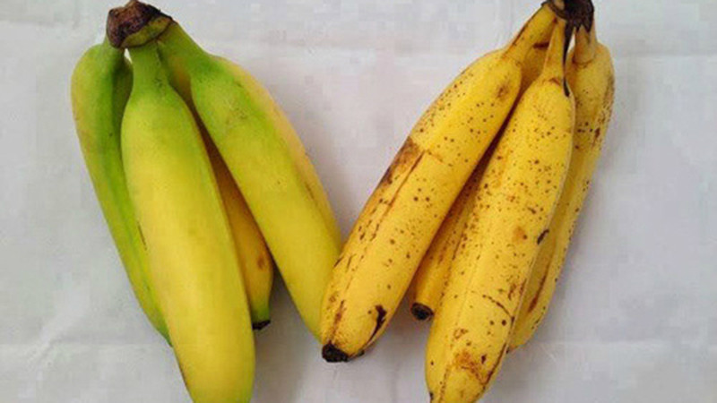 Phân biệt chuối chín tự nhiên và chuối chín nhờ chất bảo quản