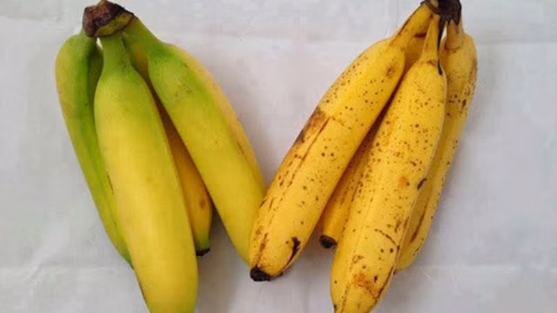 Phân biệt chuối chín tự nhiên và chuối chín nhờ chất bảo quản
