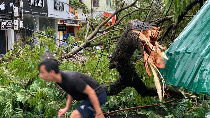 Bão số 5 làm nhiều cây xanh bị đổ gãy, gây mất điện diện rộng ở các tỉnh Trung bộ (Ảnh: Lao động) Bão số 5 làm nhiều cây xanh bị đổ gãy, gây mất điện diện rộng ở các tỉnh Trung bộ (Ảnh: Lao động)