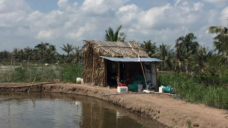 Hiện trường phát hiện vụ việc (Ảnh: Dân trí)